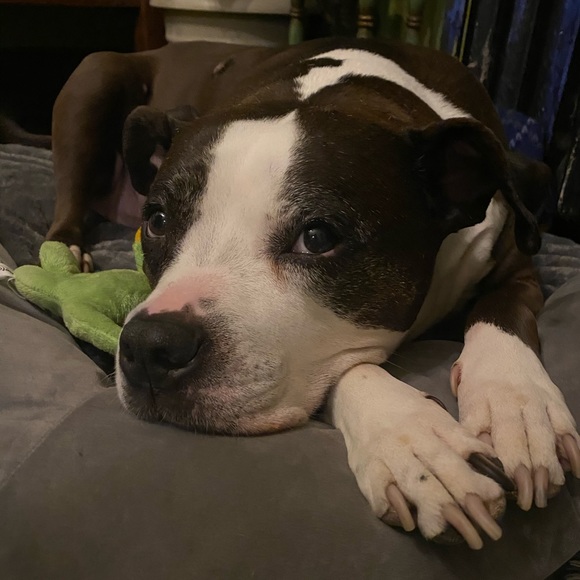 Meet your Posher, Jessica - Picture 7 of 9